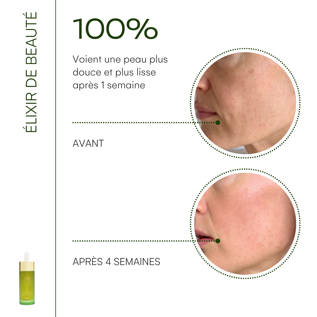Routine quotidienne